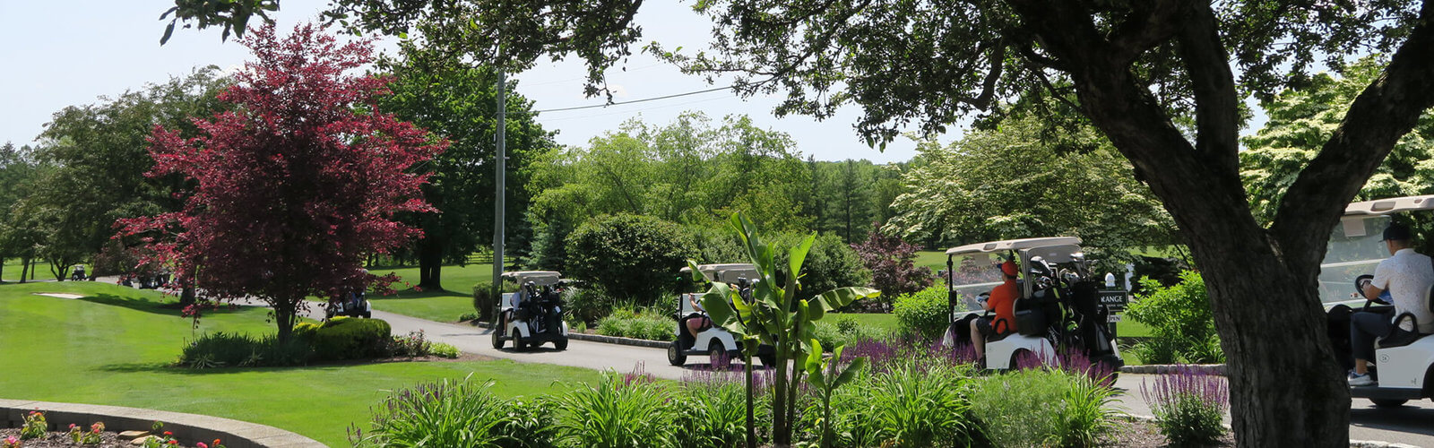 A group of four golfers stand together on a sunny green golf course, smiling and holding their clubs, dressed in sporty attire